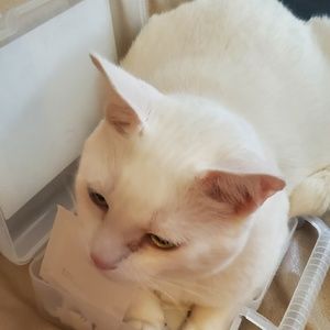 Meet your Posher, Zoe